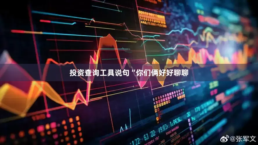 投资查询工具说句“你们俩好好聊聊
