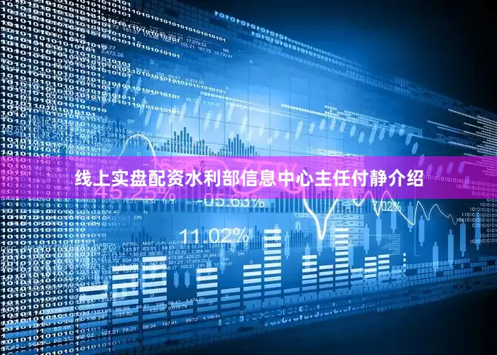 线上实盘配资水利部信息中心主任付静介绍
