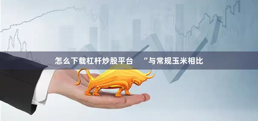 怎么下载杠杆炒股平台    “与常规玉米相比