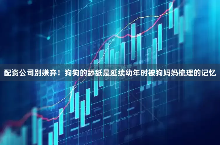 配资公司别嫌弃！狗狗的舔舐是延续幼年时被狗妈妈梳理的记忆